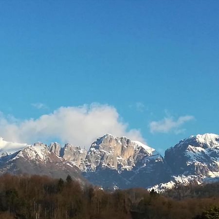 Villa Perale: La Tua Casa Alle Pendici Delle Dolomiti 贝卢诺 外观 照片