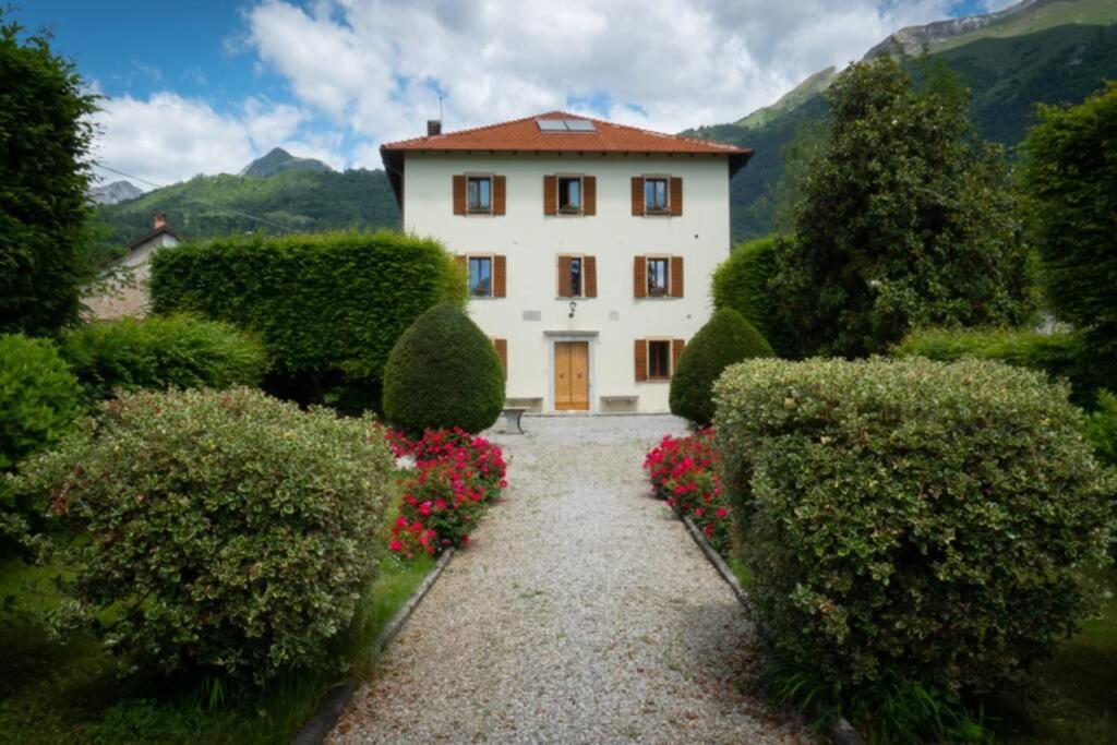 Villa Perale: La Tua Casa Alle Pendici Delle Dolomiti 贝卢诺 外观 照片