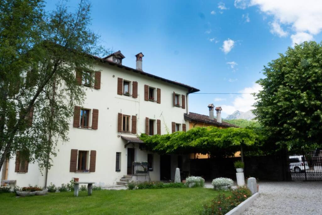 Villa Perale: La Tua Casa Alle Pendici Delle Dolomiti 贝卢诺 外观 照片