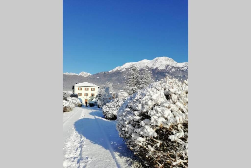 Villa Perale: La Tua Casa Alle Pendici Delle Dolomiti 贝卢诺 外观 照片