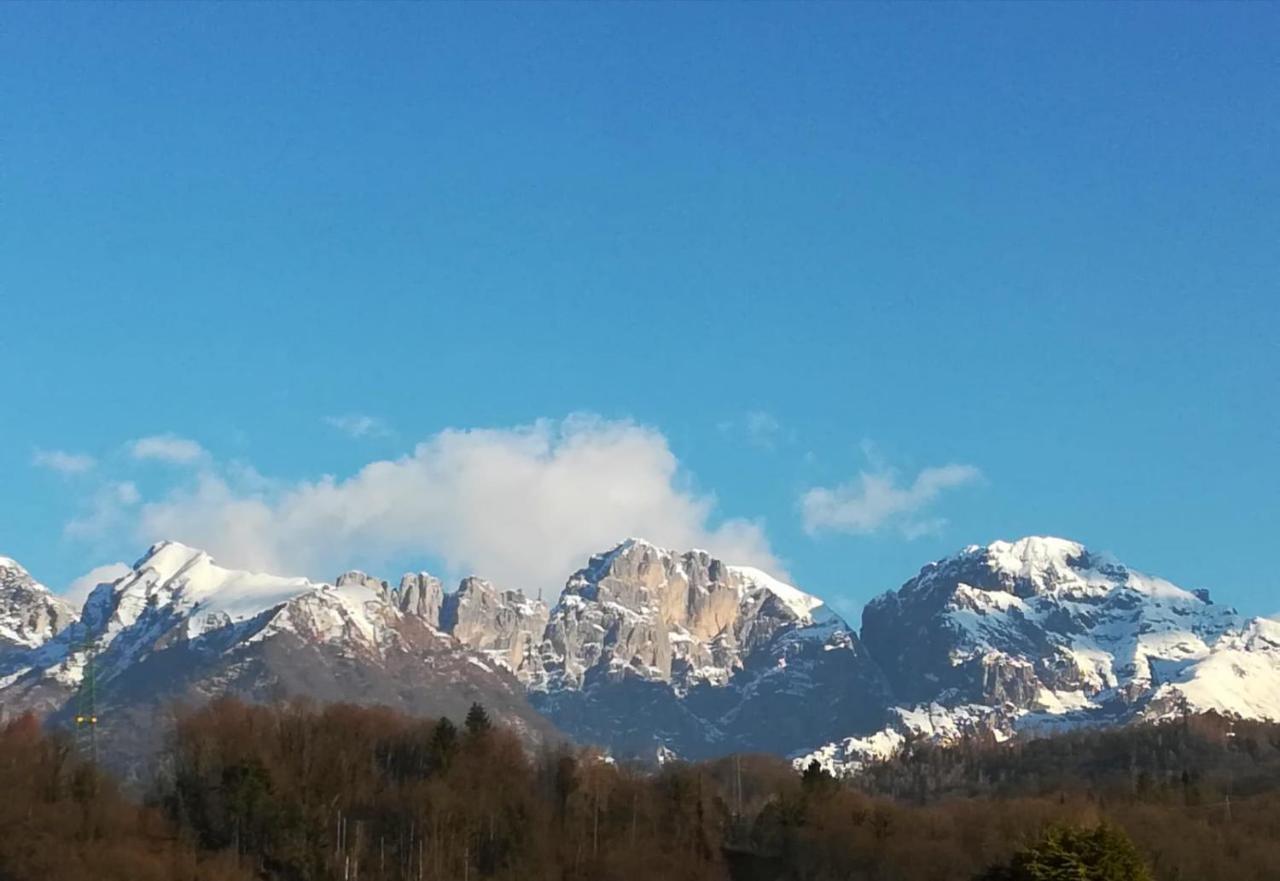 Villa Perale: La Tua Casa Alle Pendici Delle Dolomiti 贝卢诺 外观 照片